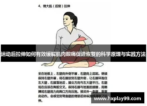 运动后拉伸如何有效缓解肌肉酸痛促进恢复的科学原理与实践方法